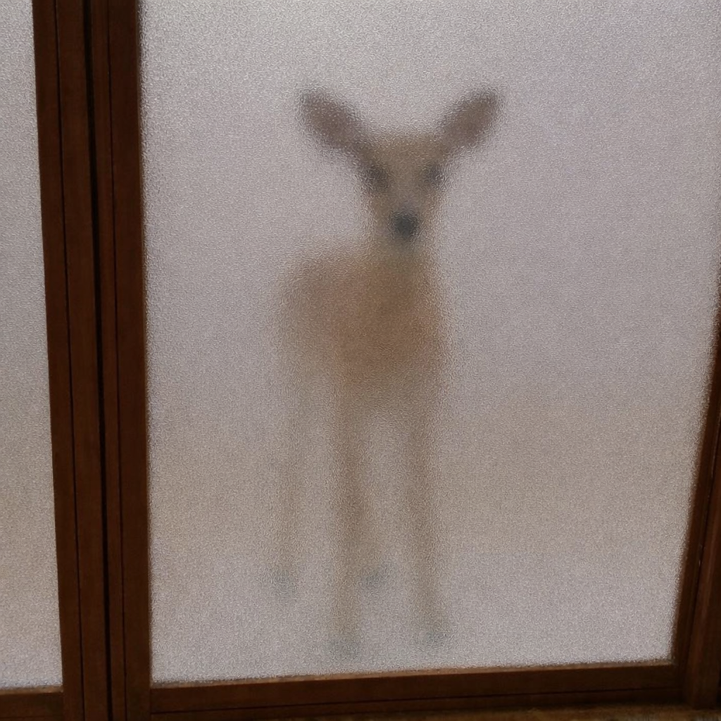 コメントを付けて動物の画像を貼っていくトピ