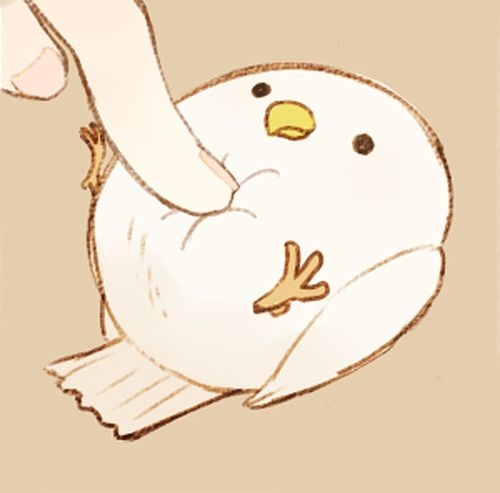 架空の生き物について知ってること