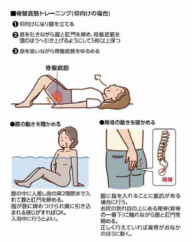 骨盤臓器脱