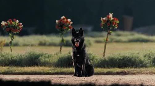 【エクソシスト】印象に残っている悪魔映画