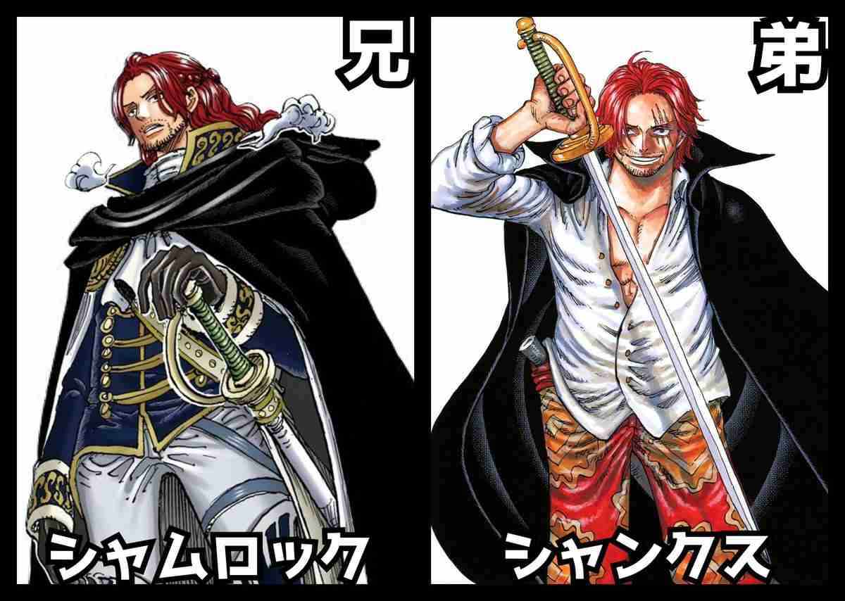 【ネタバレ注意】初期にワンピース脱落した人が知ったら驚きそうなことPart8【ONE PIECE】