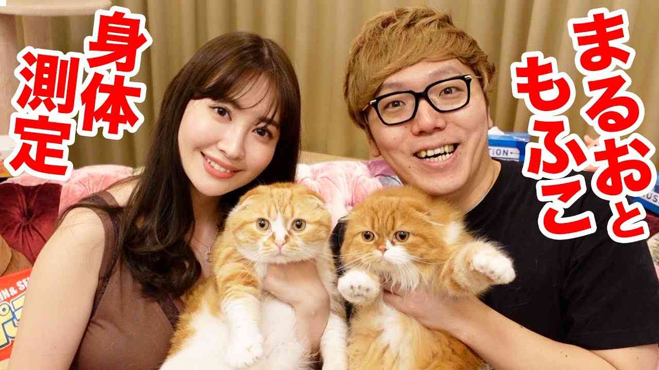 「人間」であることが嫌な人