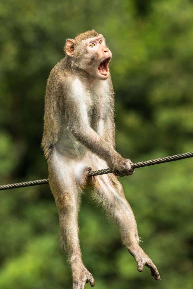 びっくりしてそうな画像トピ