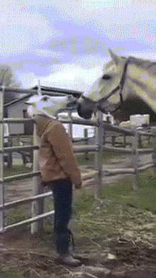 びっくりしてそうな画像トピ