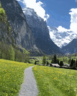 生きるとはなんなのか