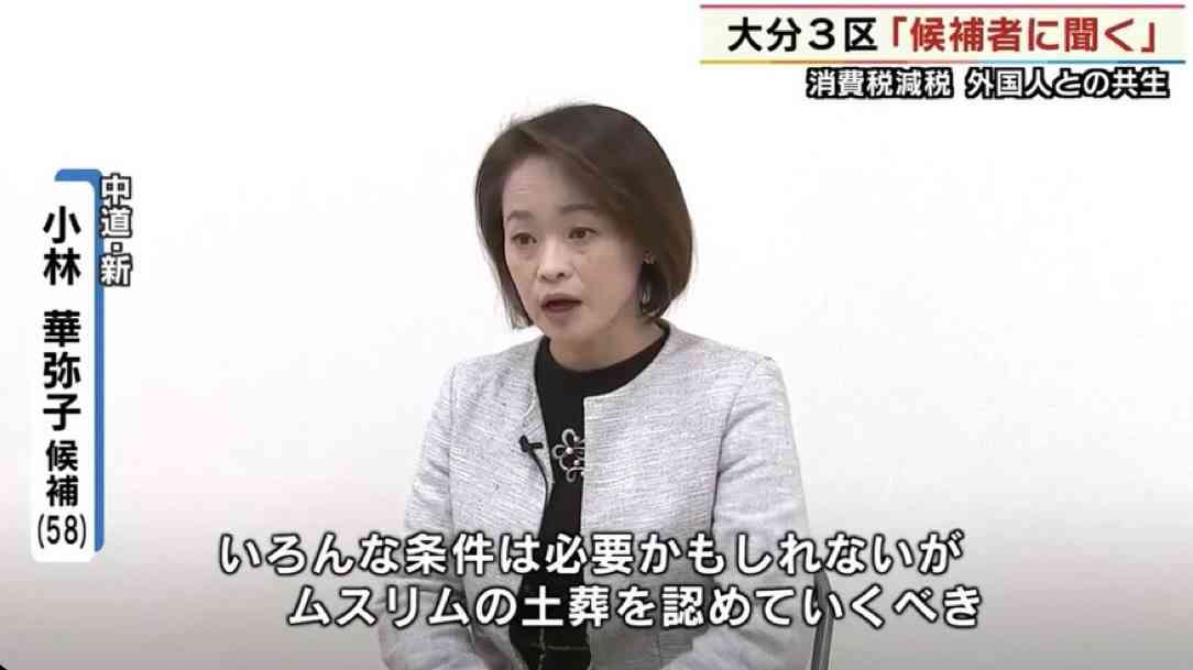 「国民の意識に萎縮効果を与える恐れ」岩屋前外相が「国旗損壊罪」に慎重な意見「政治的アピールのような立法は、表現の自由に照らして不適切」