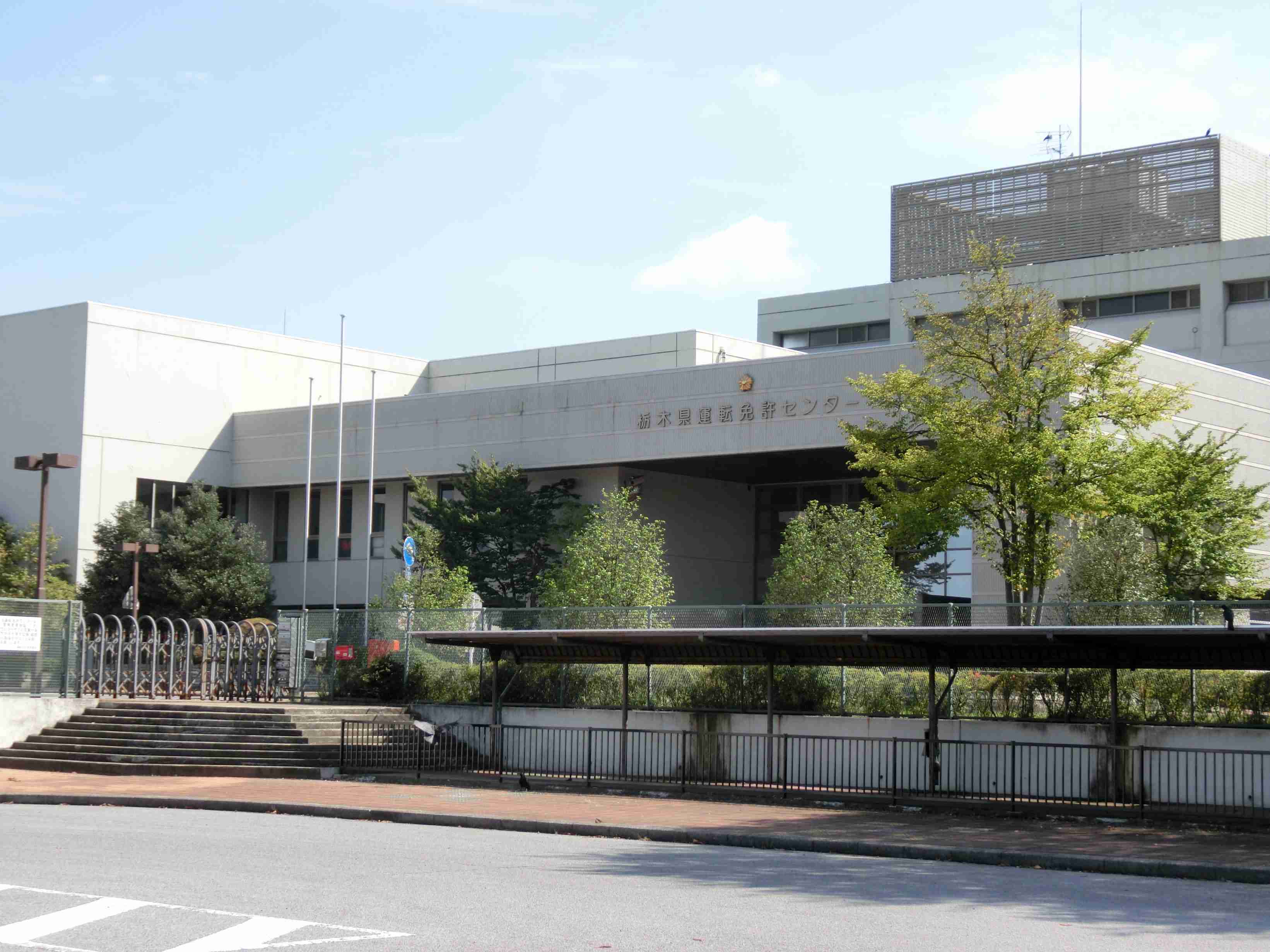 【国家資格】自動車運転免許証について知っていること