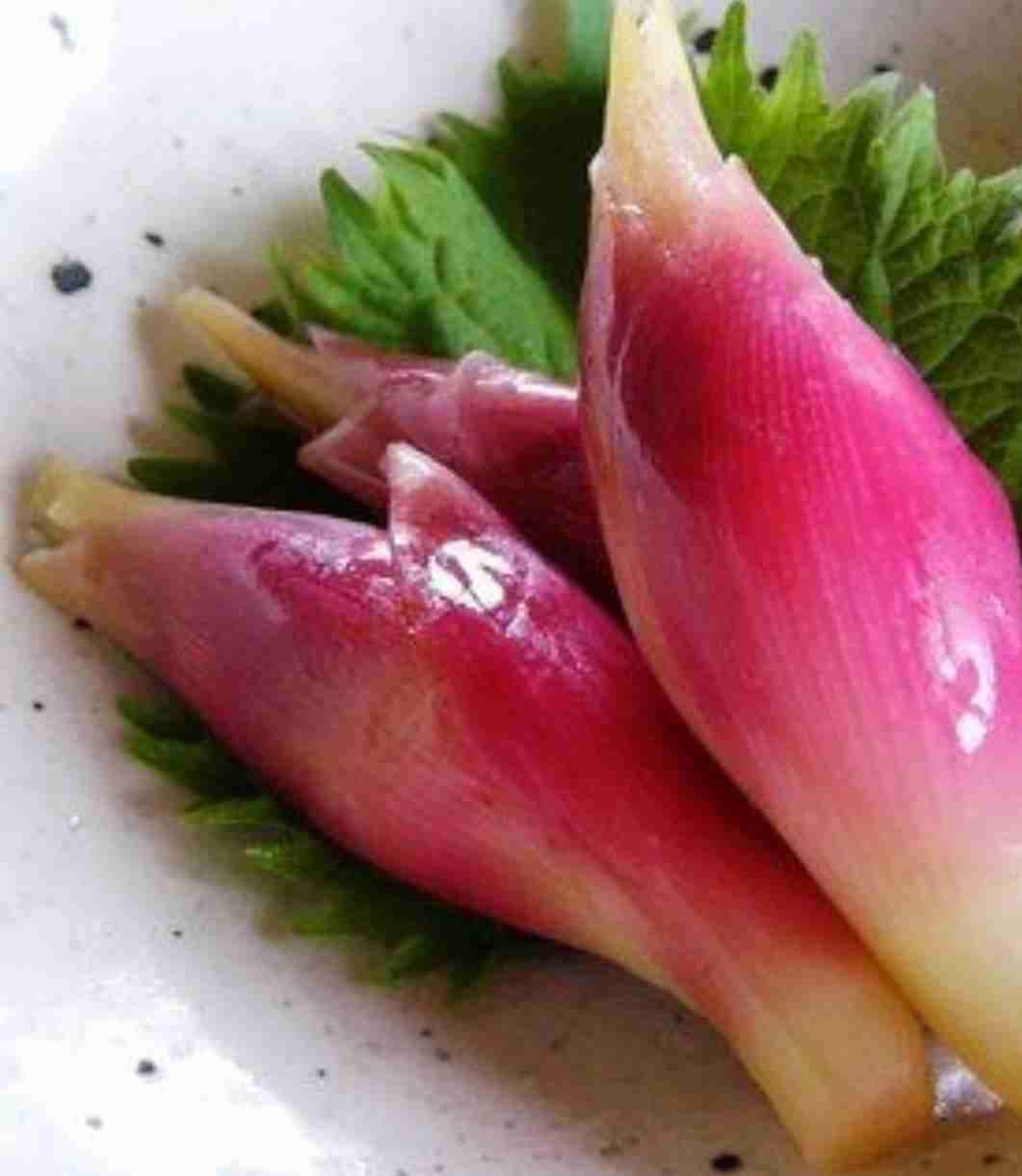茗荷（みょうが）の美味しい食べ方