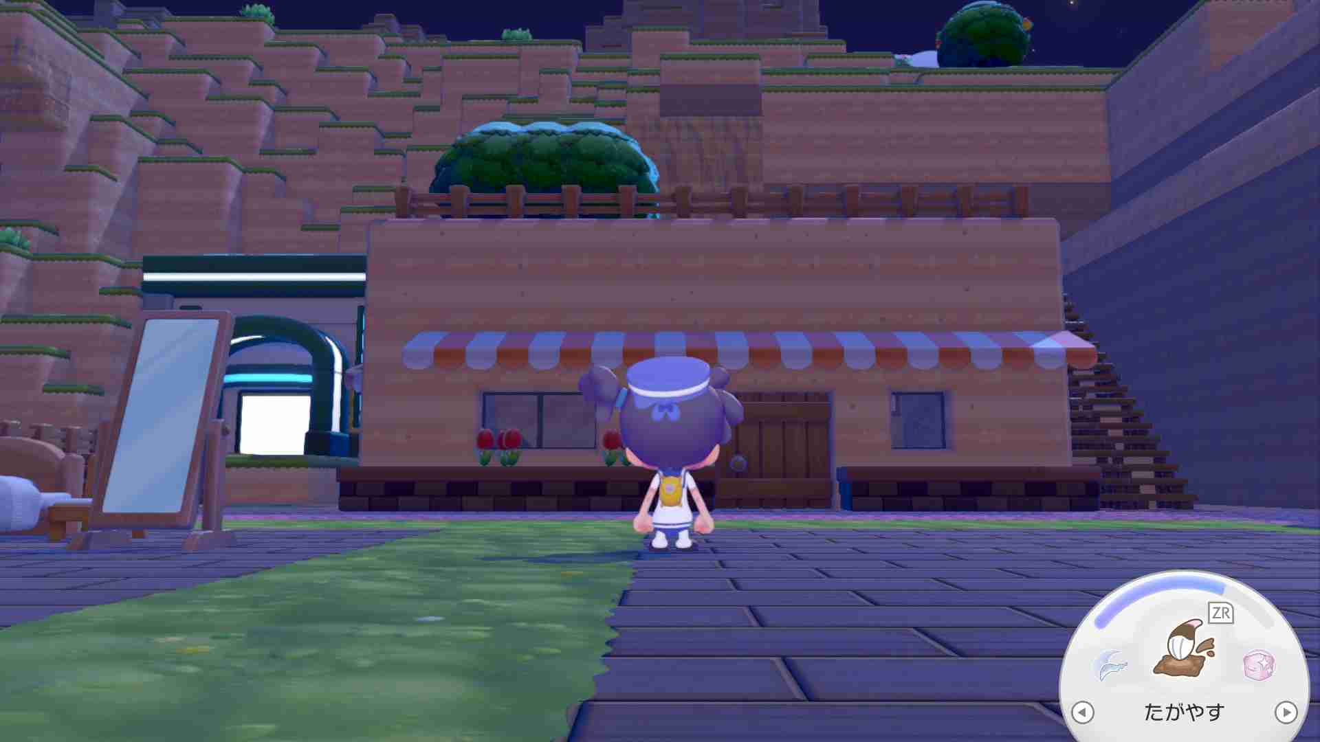 【Switch2】ぽこあポケモンpart2