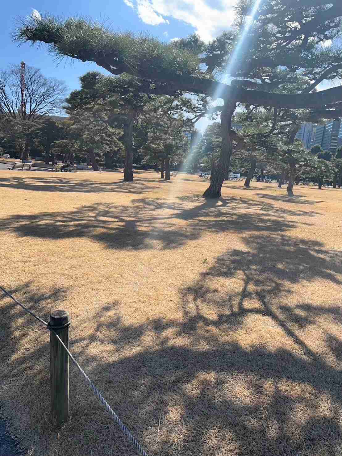 初めての東京！