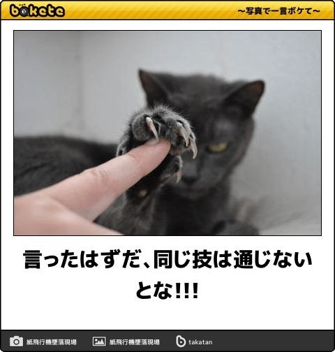 【芸能人の画像禁止】笑いのツボが浅いガル民に見せたい画像やgifが集まるトピ【悪意禁止】part11