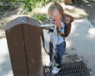 【芸能人の画像禁止】笑いのツボが浅いガル民に見せたい画像やgifが集まるトピ【悪意禁止】part11