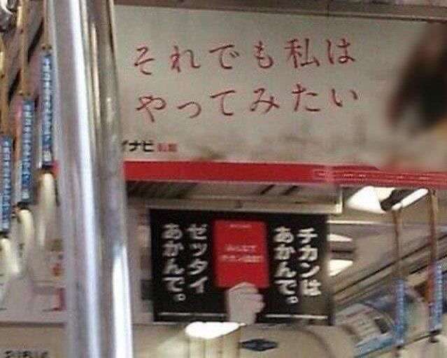 【芸能人の画像禁止】笑いのツボが浅いガル民に見せたい画像やgifが集まるトピ【悪意禁止】part11