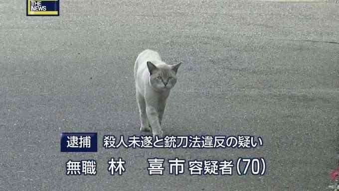 【芸能人の画像禁止】笑いのツボが浅いガル民に見せたい画像やgifが集まるトピ【悪意禁止】part11