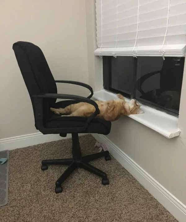 【芸能人の画像禁止】笑いのツボが浅いガル民に見せたい画像やgifが集まるトピ【悪意禁止】part11