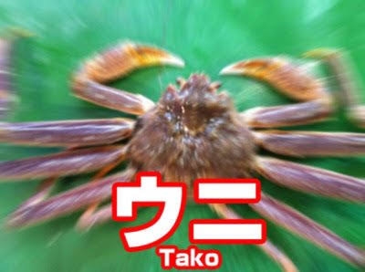 【芸能人の画像禁止】笑いのツボが浅いガル民に見せたい画像やgifが集まるトピ【悪意禁止】part11