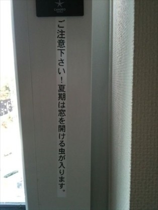 【芸能人の画像禁止】笑いのツボが浅いガル民に見せたい画像やgifが集まるトピ【悪意禁止】part11