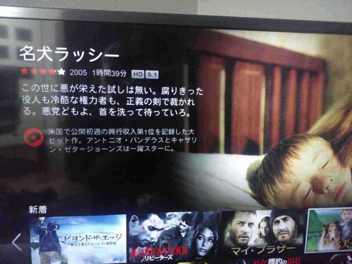 【芸能人の画像禁止】笑いのツボが浅いガル民に見せたい画像やgifが集まるトピ【悪意禁止】part11