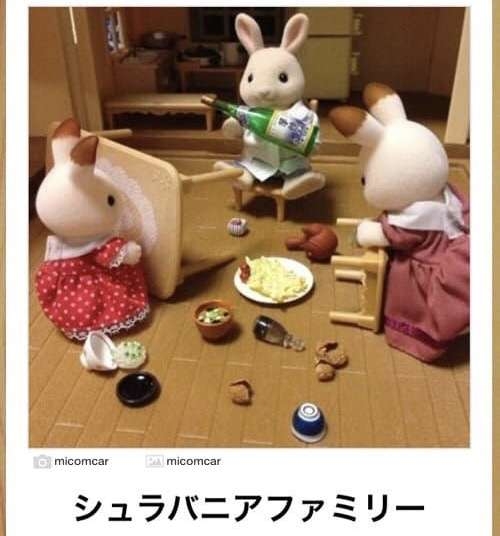 【芸能人の画像禁止】笑いのツボが浅いガル民に見せたい画像やgifが集まるトピ【悪意禁止】part11