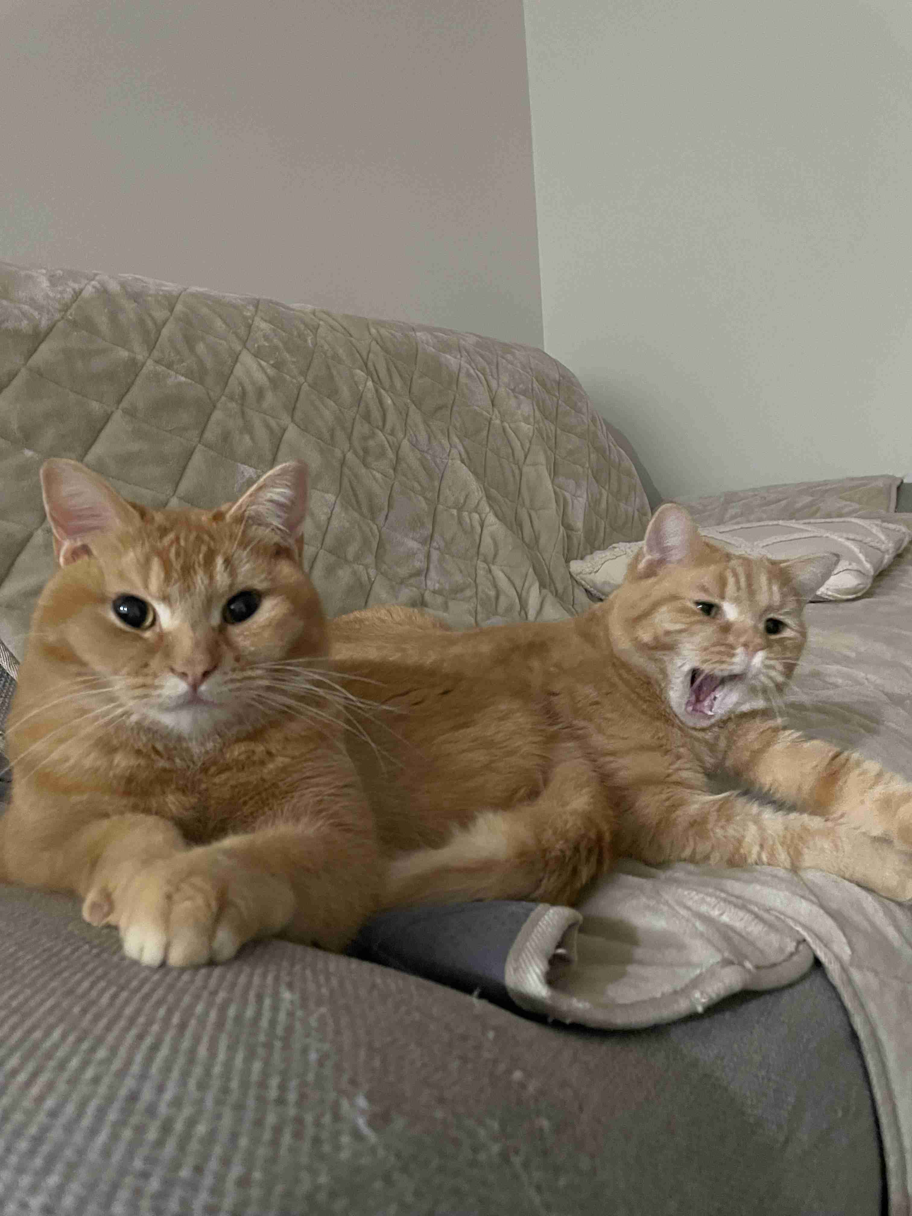 なんのために仕事頑張れてる？