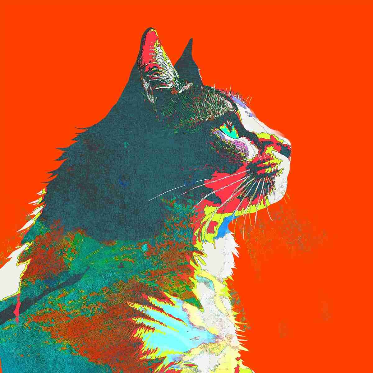 【今更、何を言っているんだ？シリーズ】米津玄師の「何が」そんなに凄いのですか？