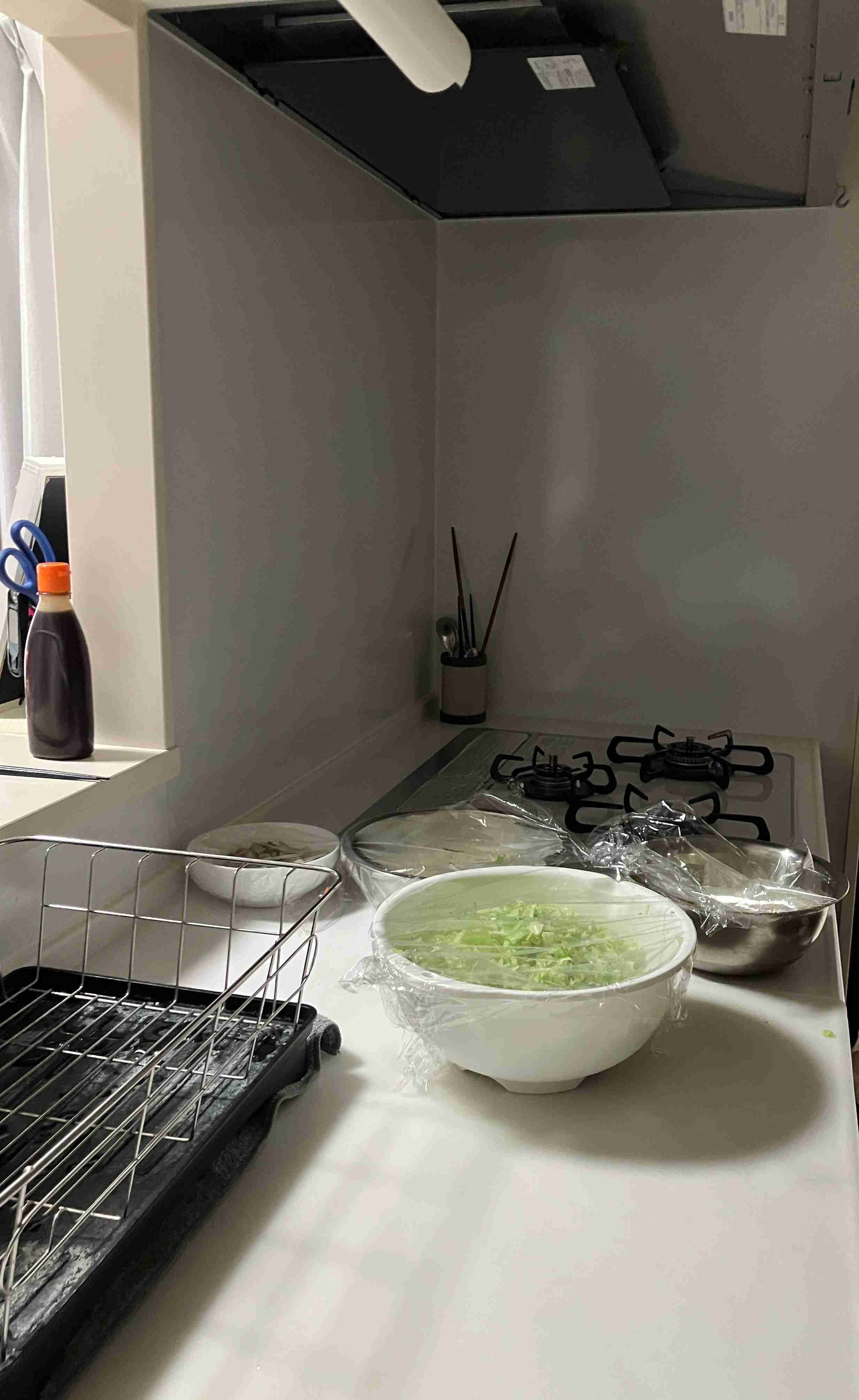 【閲覧注意】ありのままのキッチンを晒すPart5