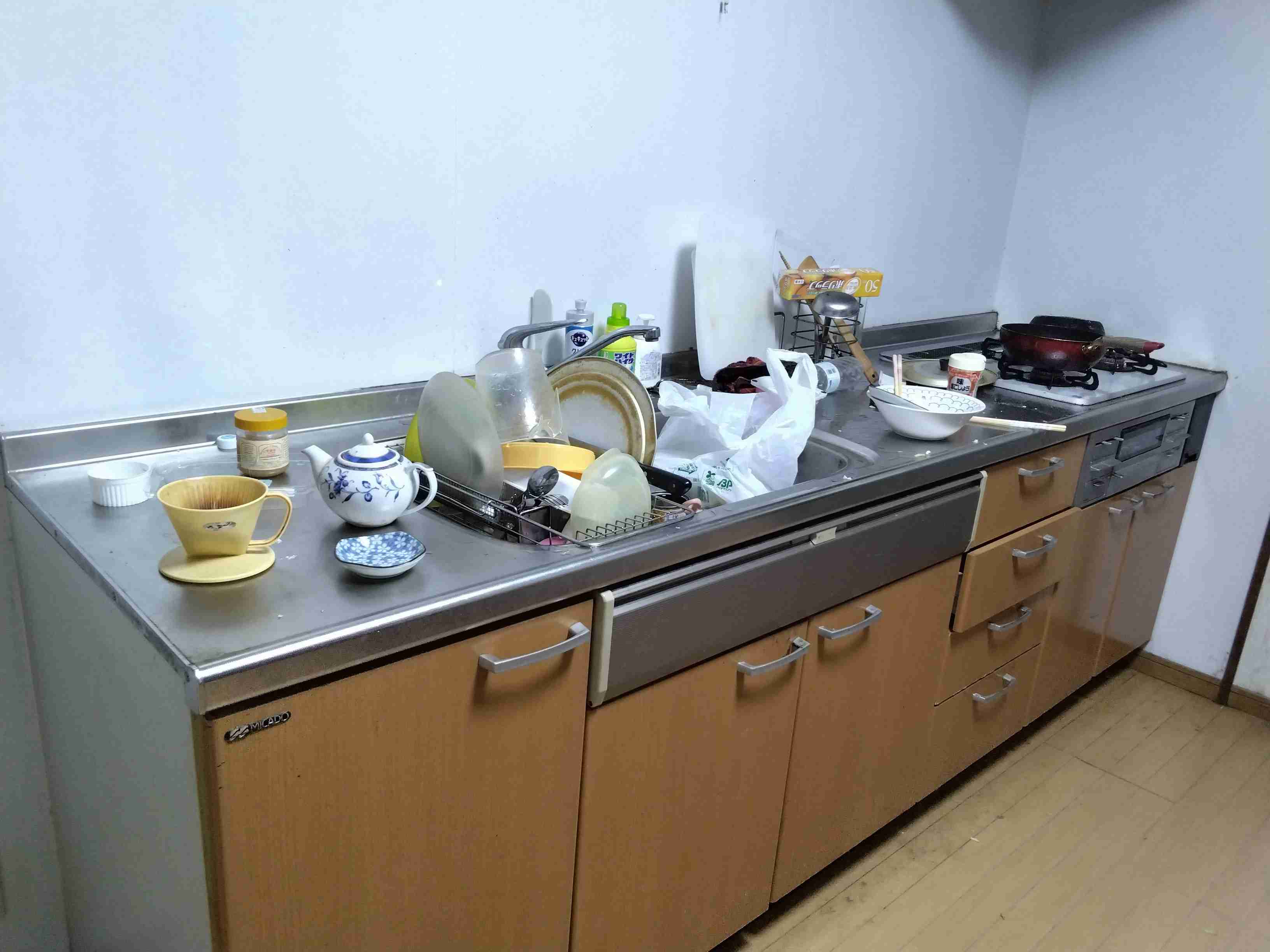 【閲覧注意】ありのままのキッチンを晒すPart5