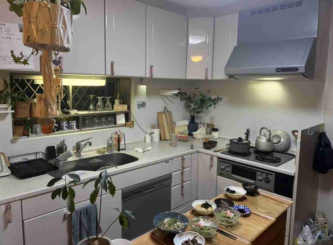 【閲覧注意】ありのままのキッチンを晒すPart5