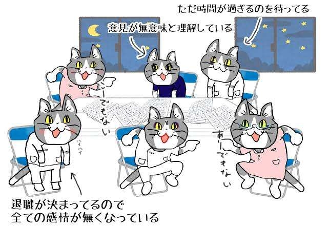 キャットファイトしたことありますか？