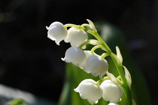 【春】から予測変換作文!