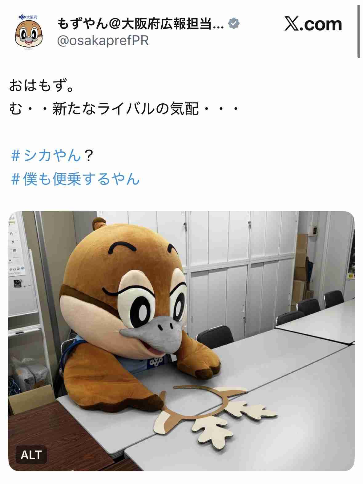 大阪市内で目撃相次いだ「迷いシカ」を「シカやん」と命名　大阪府の吉村知事が考案　横山市長のSNSアンケートで最多の支持集める
