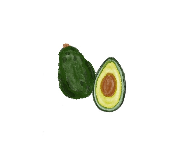 【お絵描き】絵しりとりしよう！【定期】