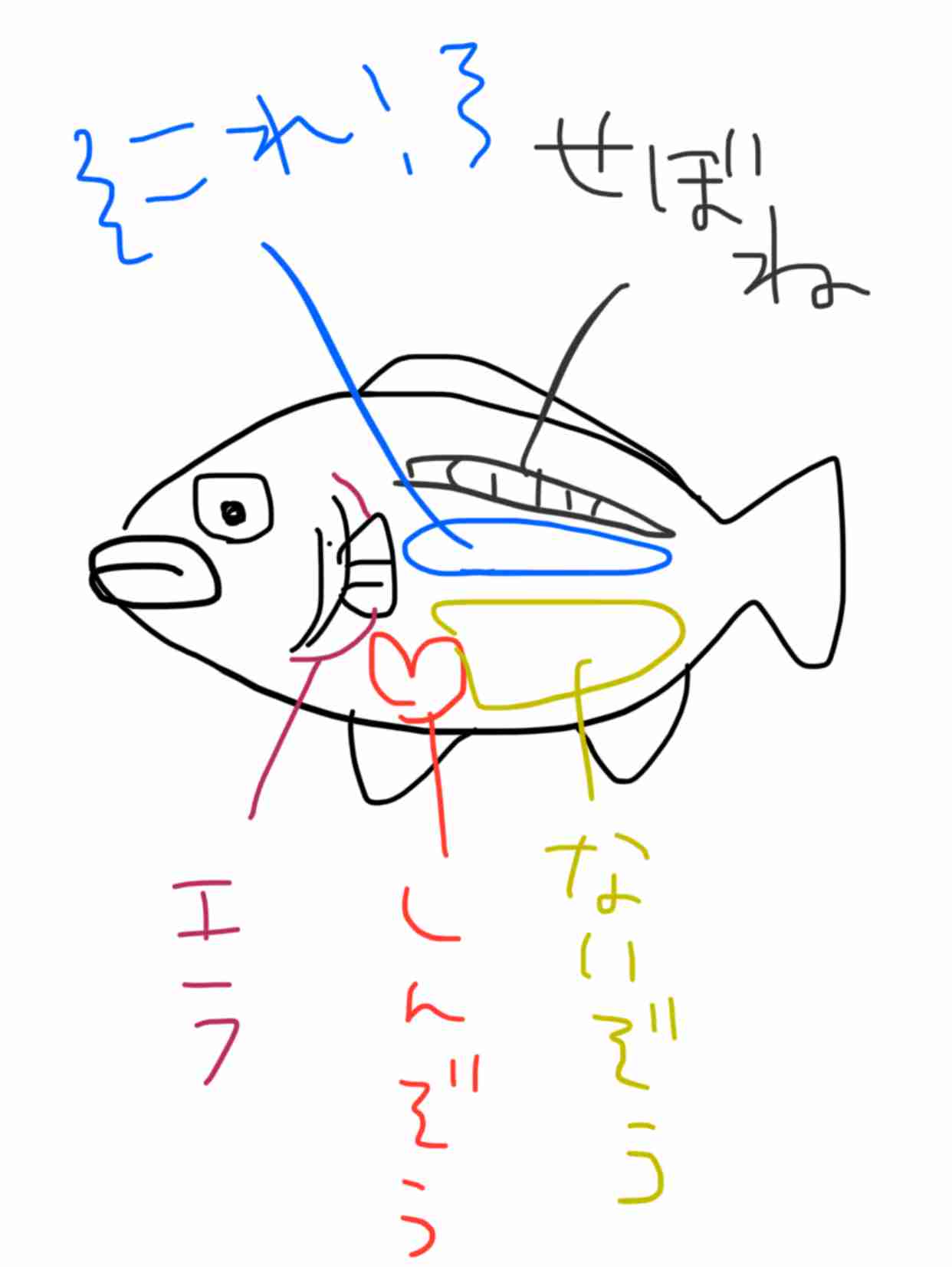 【お絵描き】絵しりとりしよう！【定期】
