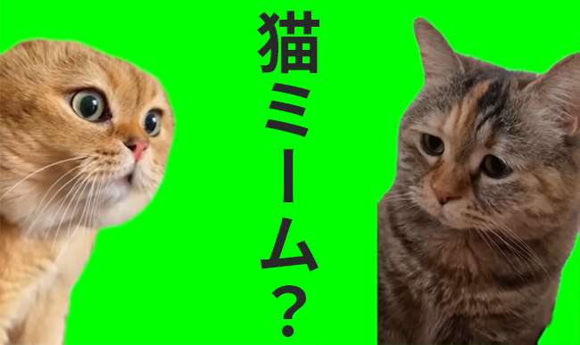 ジェンダーレスネーム