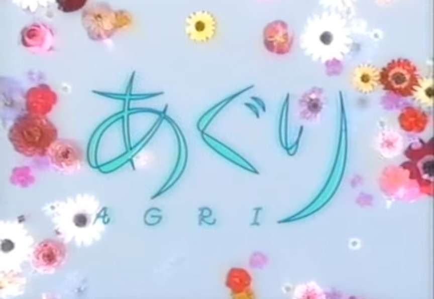 朝ドラの主題歌どれが好き?