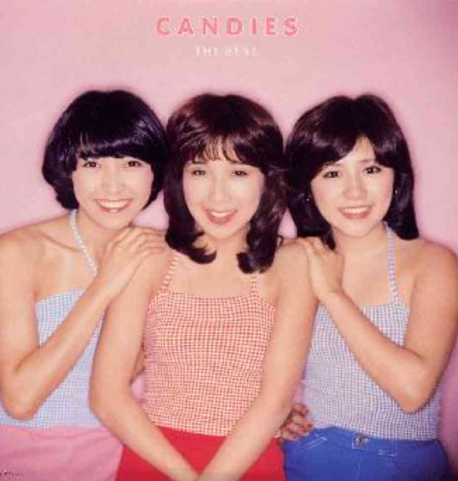 80年代、90年代アイドルについて質問したら、リアルで知ってる人が説明してくれるトピ