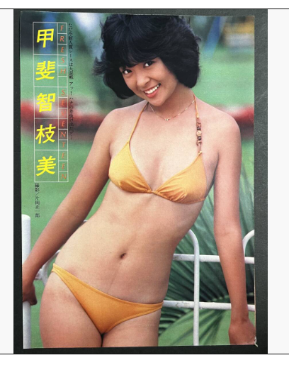 80年代、90年代アイドルについて質問したら、リアルで知ってる人が説明してくれるトピ