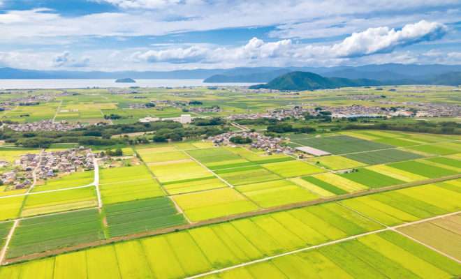 田舎では、これを持ってないと見下される