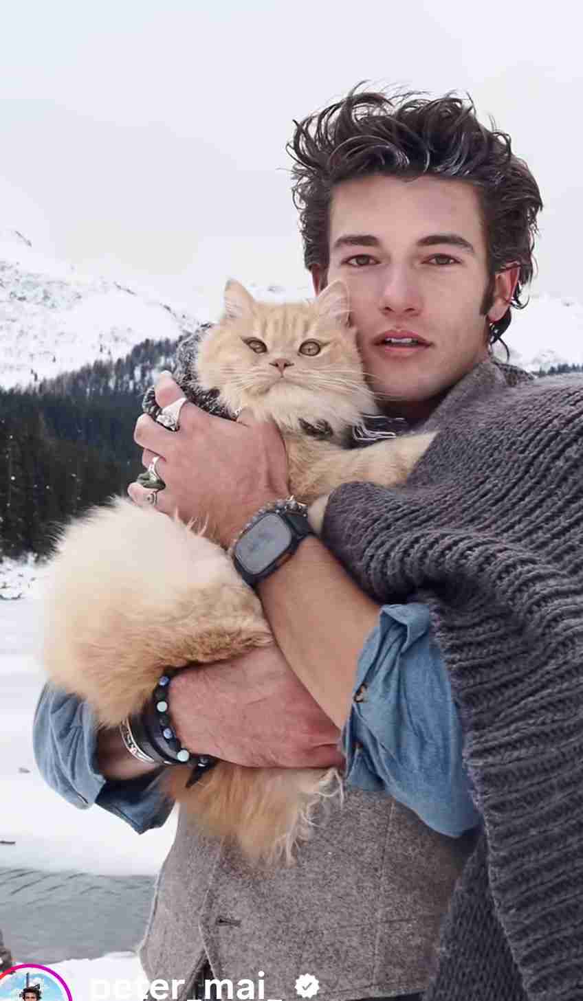 最近かっこいい〜！と思った外国の有名人