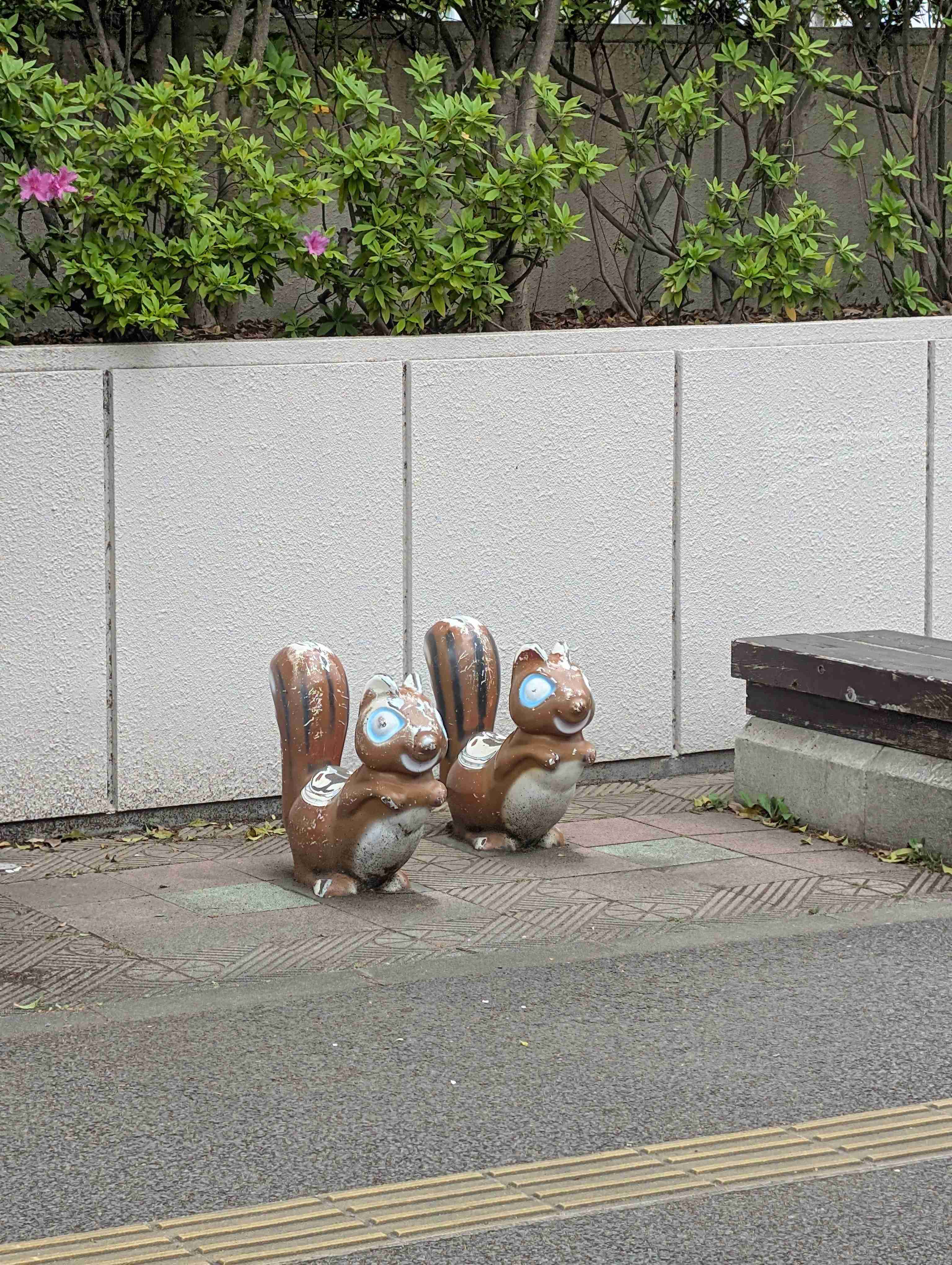 りすが好きな人🐿️