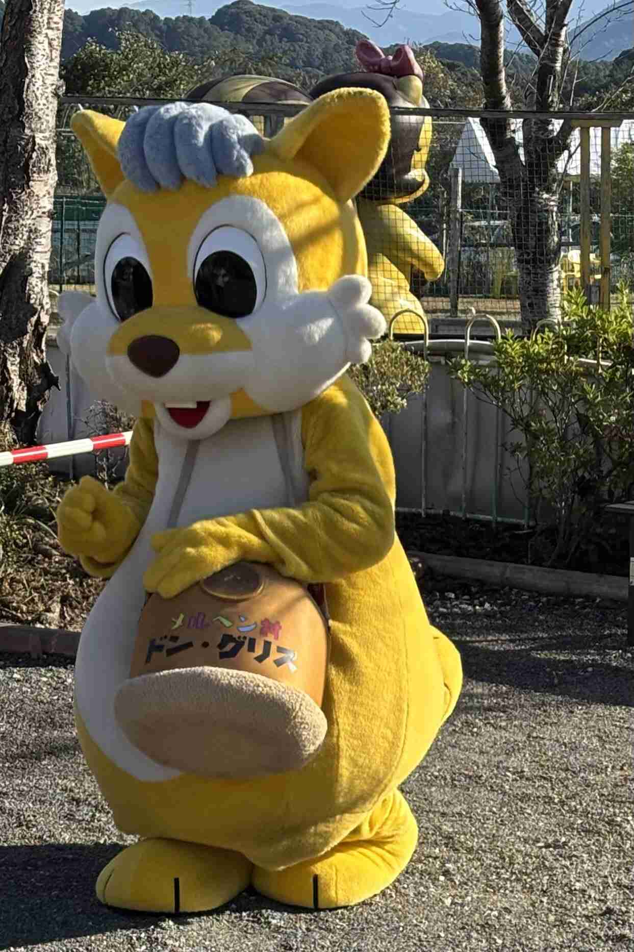 りすが好きな人🐿️
