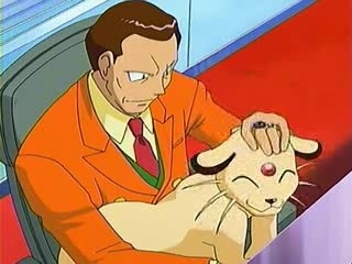 シャム猫について知ってること