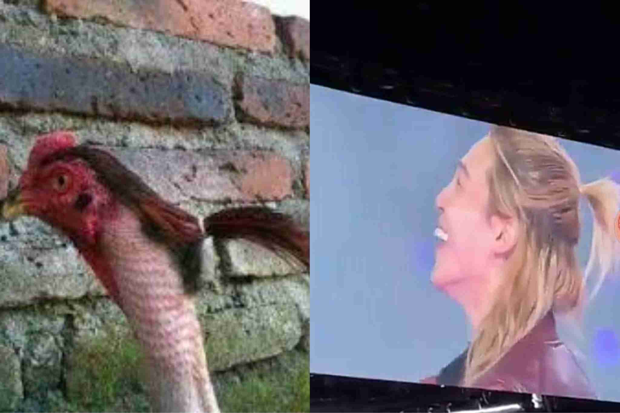 なぜこんなに気持ち悪いのか…と思うことPart2