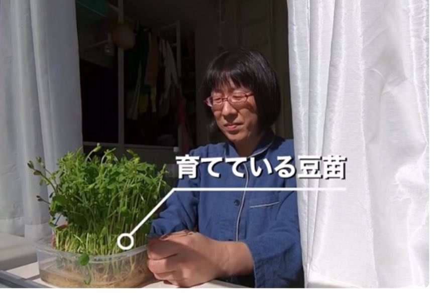 陰キャの星の元に生まれた人!!