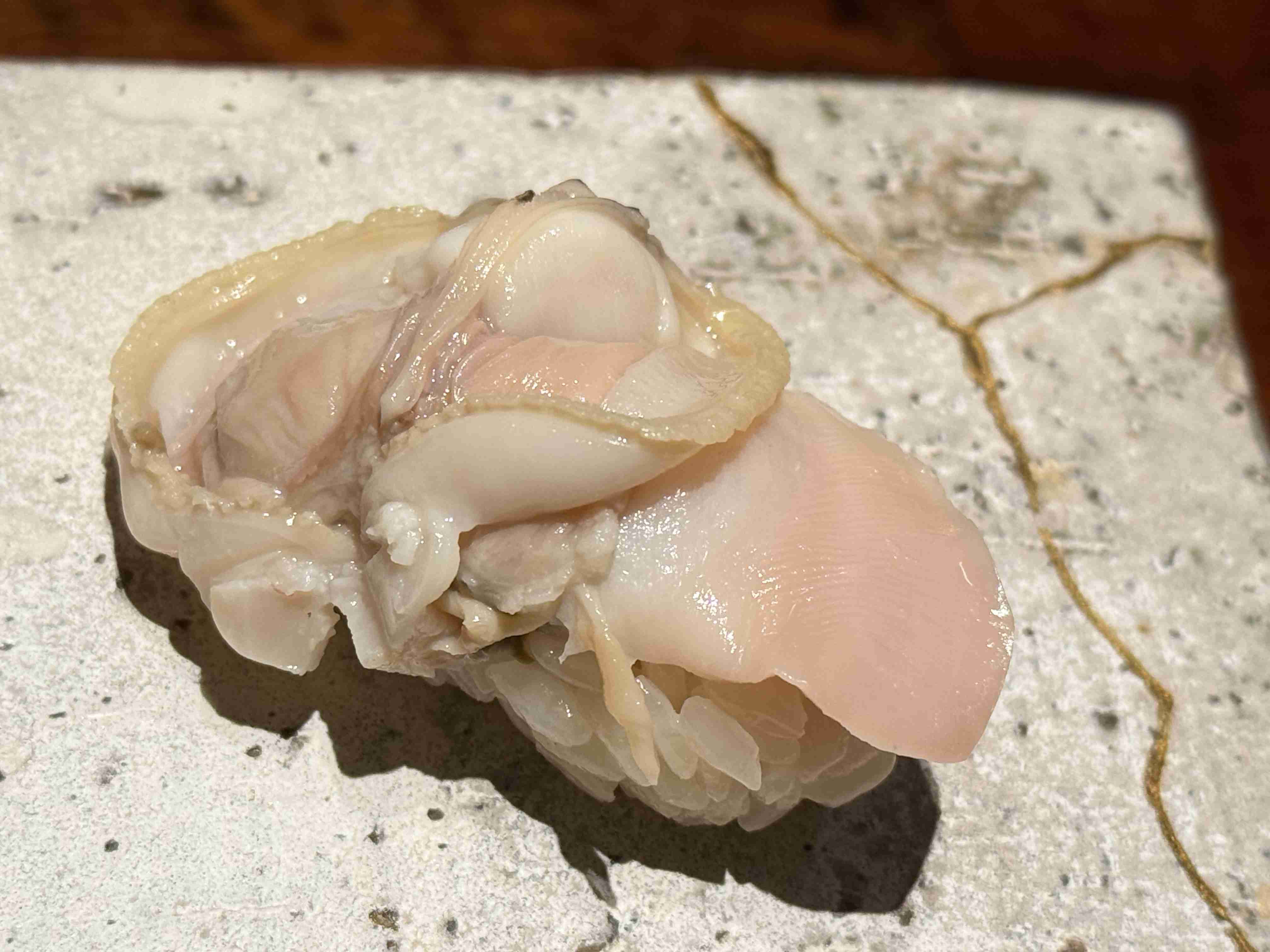 お寿司の画像が見たい
