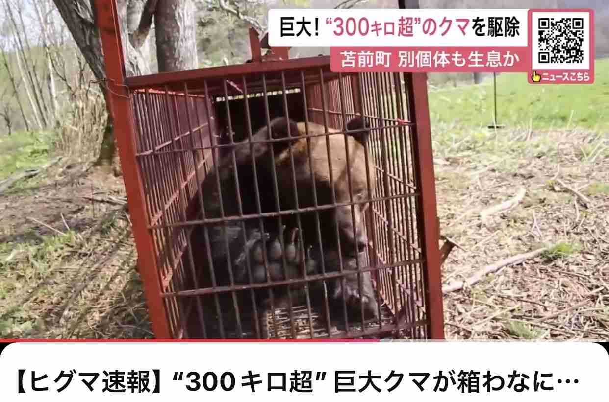 北海道あるある!