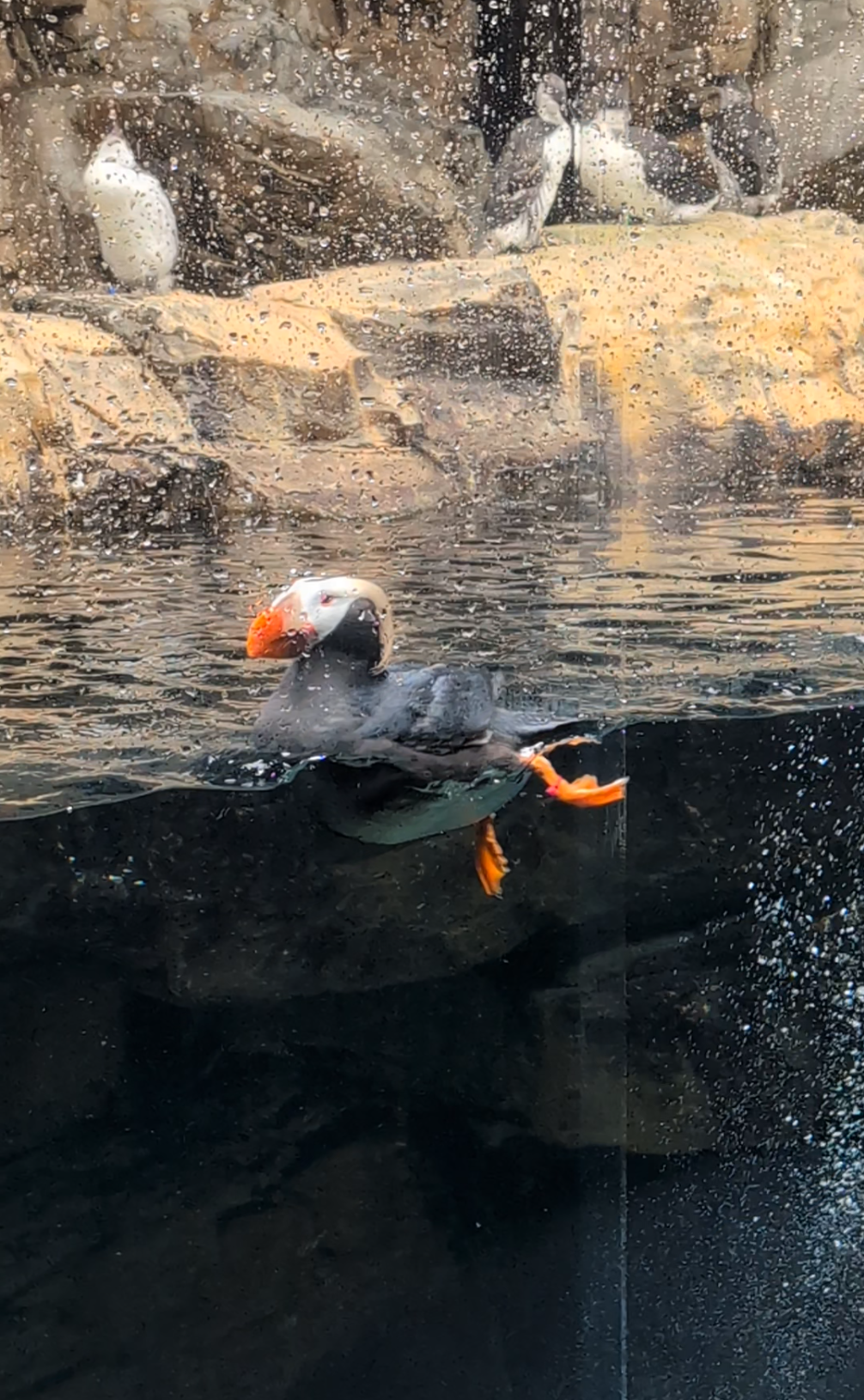 葛西臨海公園について教えてください!