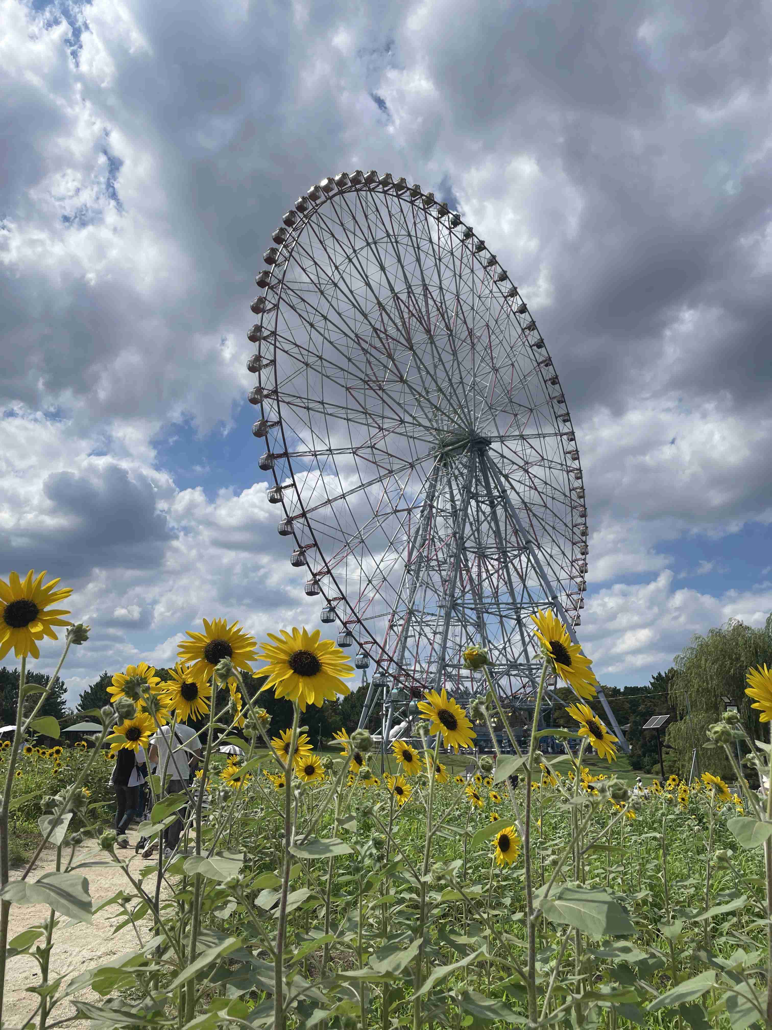 葛西臨海公園について教えてください!