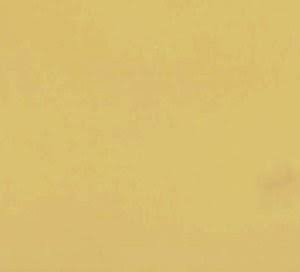 自分には全然似合わない色