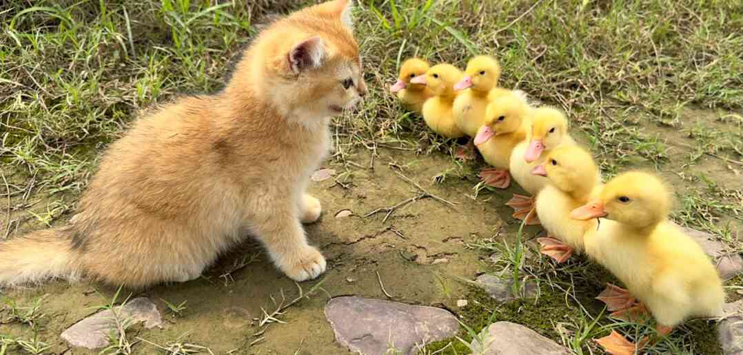 今年の新人さんどうですか